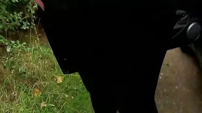 बाइकर्स गुदा में गर्म bitches गड़बड़ हिंदी सेक्सी वीडियो फुल मूवी एचडी कर दिया