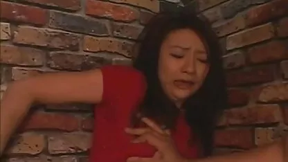 कुतिया गुदा प्रवेश और rimming प्यार करता सेक्सी फुल फिल्म है